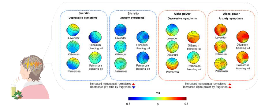 명상과 에센셜 오일이 뇌파에 미치는 영향