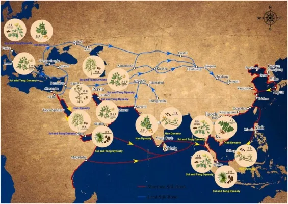 실크로드와 향료 무역의 역사 (2부): 향료의 여정과 현대적 의미