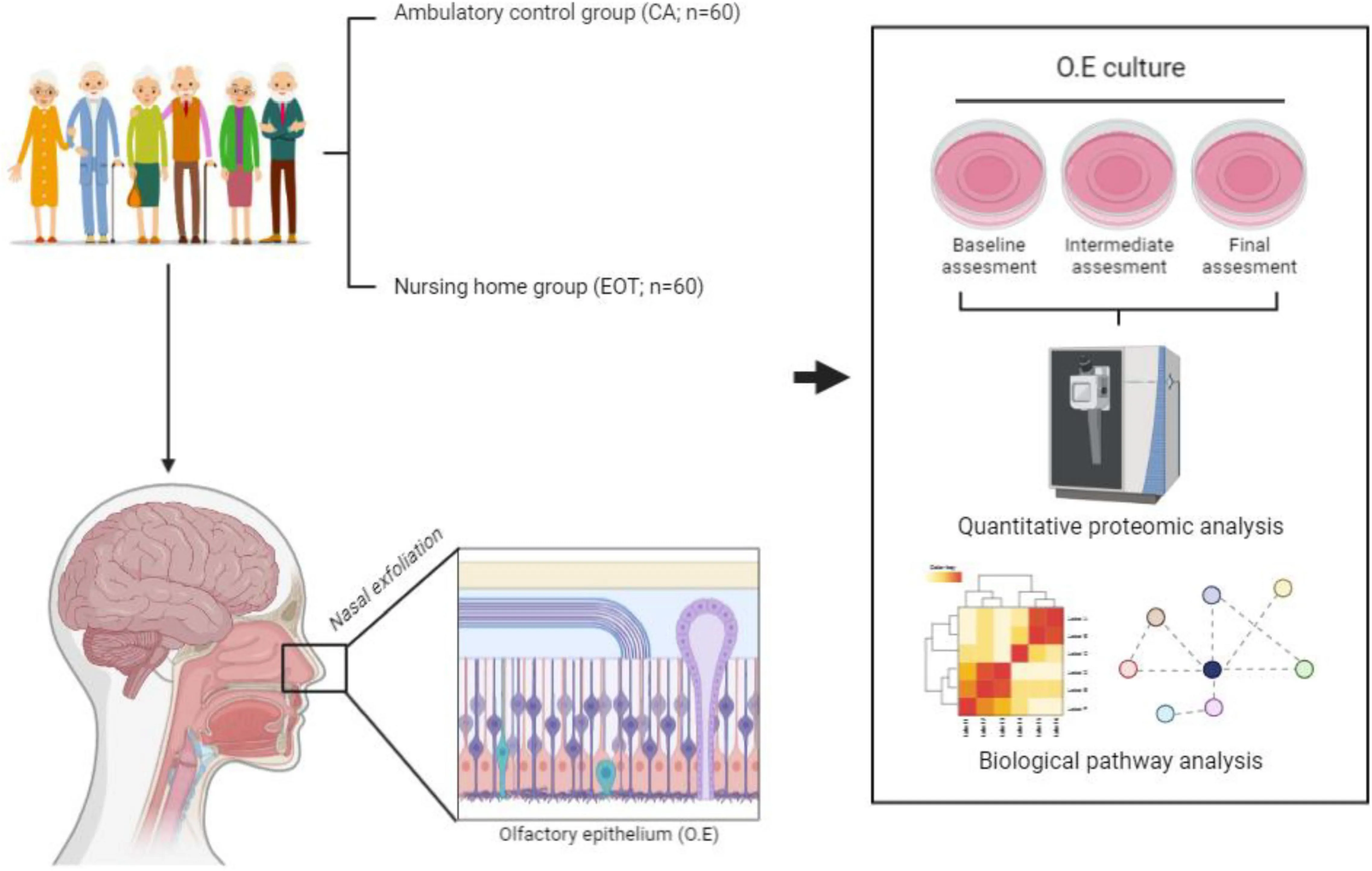 [로라의 뉴로-아로마 칼럼] 뇌를 깨우는 가장 향기로운 운동, 후각 트레이닝