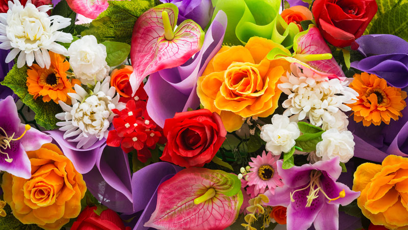 꽃 계열과 화(火)의 연결성