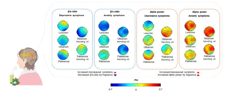 명상과 에센셜 오일이 뇌파에 미치는 영향