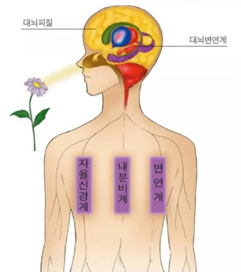 Notion Image