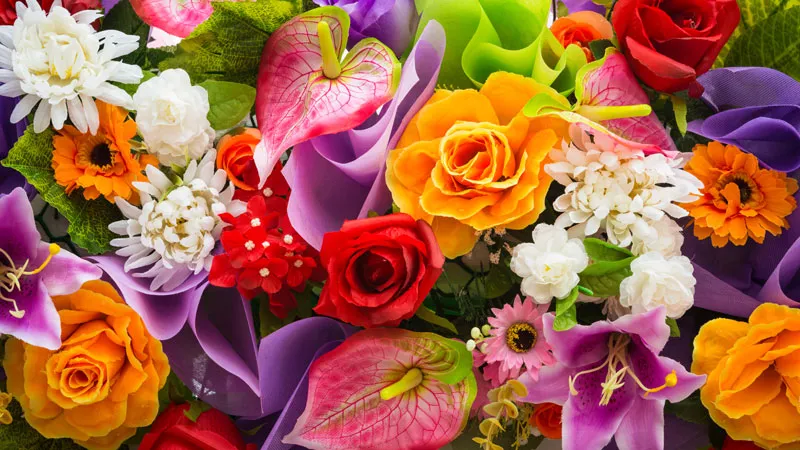 꽃 계열과 화(火)의 연결성