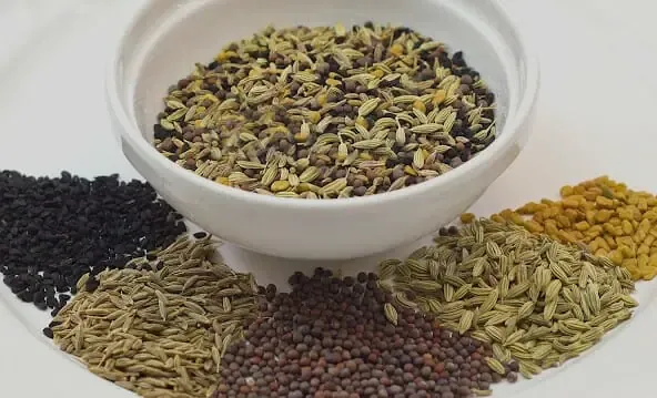 씨앗 계열과 수(水)의 연결성